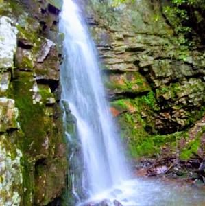 Meet your Posher, Stewart